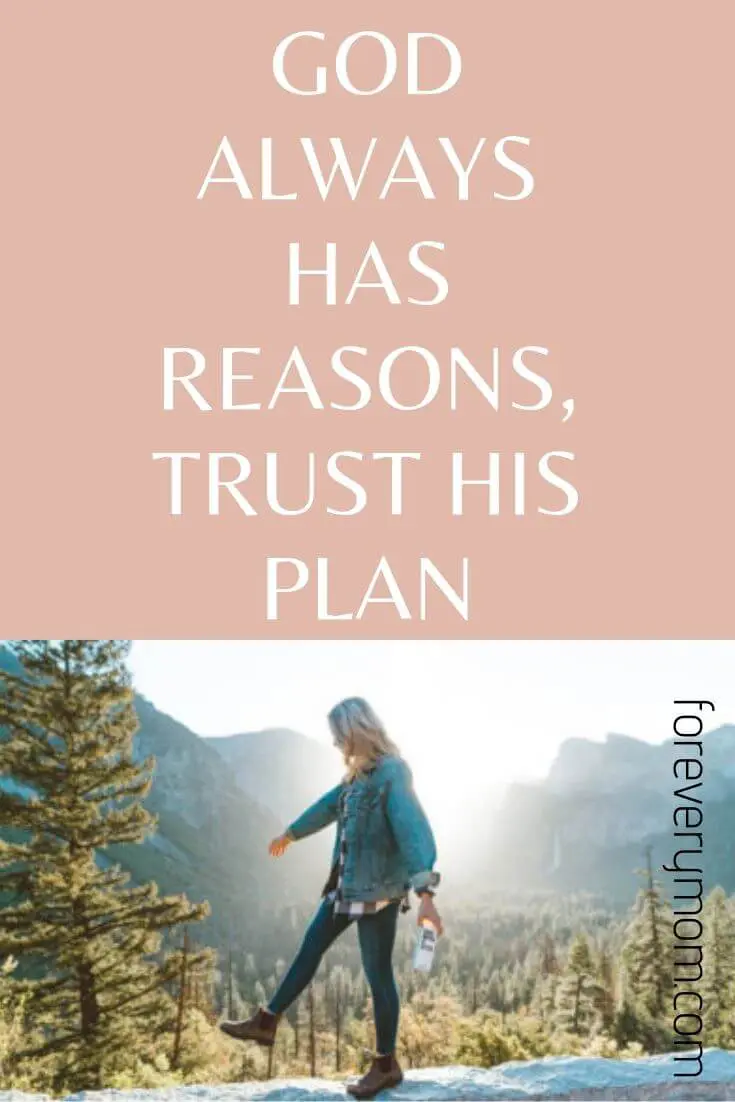 trust his plan