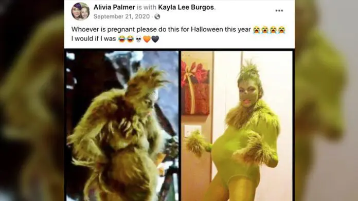 pregnant Halloween maternity costumes